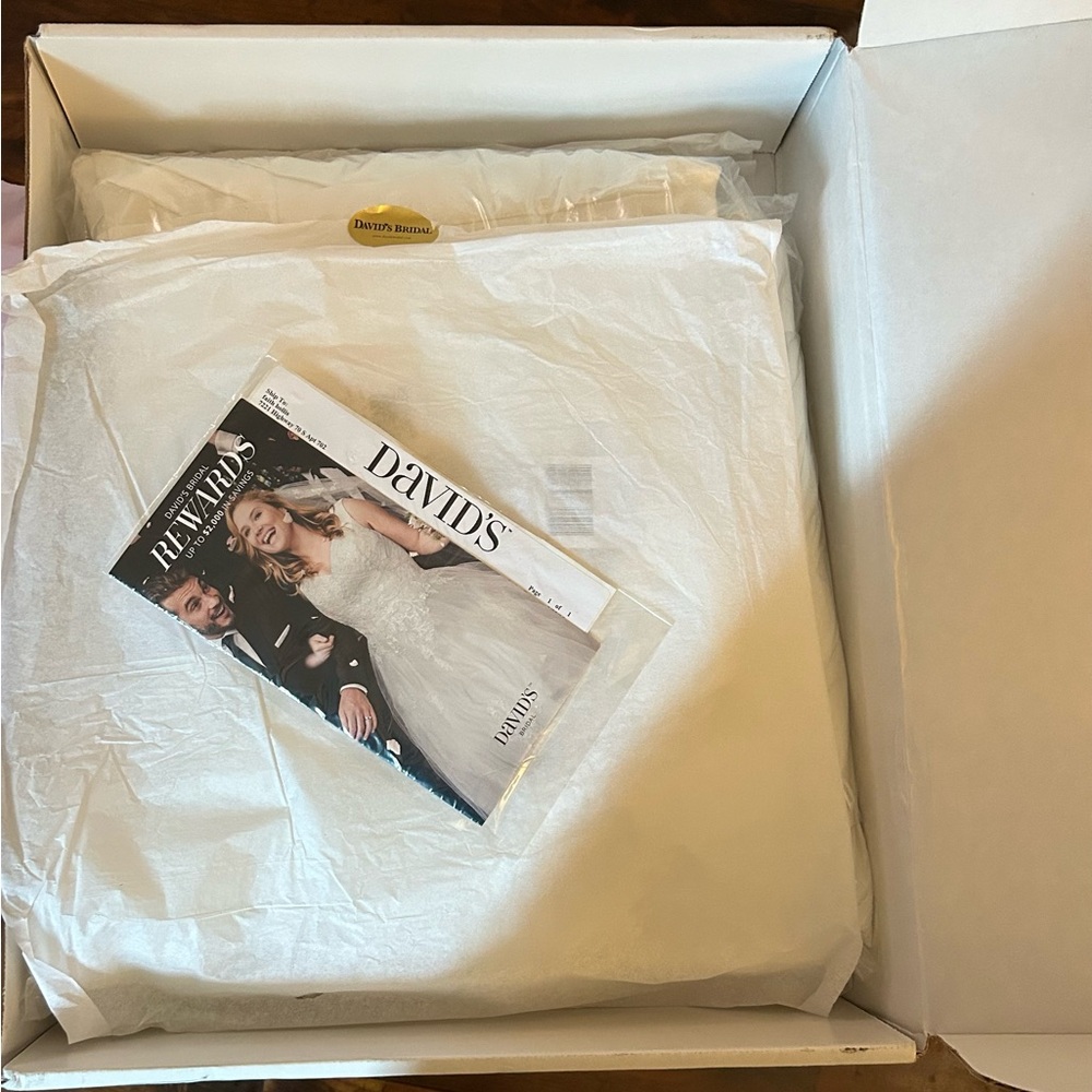 $499 New David's Bridal Ivory A-line Wedding Dress! Size 4 Un-Altered w/Tags - Picture 3 of 7